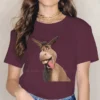 Donkey Women Tshirts Shrek Comedy Film Aesthetic Vintage Female Clothing Large Cotton Graphic Streetwear.jpg 640x640 15 - Shrek Shop