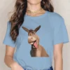 Donkey Women Tshirts Shrek Comedy Film Aesthetic Vintage Female Clothing Large Cotton Graphic Streetwear.jpg 640x640 16 - Shrek Shop