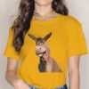 Donkey Women Tshirts Shrek Comedy Film Aesthetic Vintage Female Clothing Large Cotton Graphic Streetwear.jpg 640x640 20 - Shrek Shop