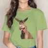 Donkey Women Tshirts Shrek Comedy Film Aesthetic Vintage Female Clothing Large Cotton Graphic Streetwear.jpg 640x640 23 - Shrek Shop