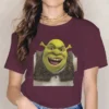 Is not Pleased Sweet Girls Women T Shirt Shrek Comedy Film Blusas Harajuku Casual Short Sleeve.jpg 640x640 15 - Shrek Shop