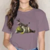 Shrek and Donkey Feminine Clothes Shrek Comedy Film Oversized T shirt Goth Vintage Female Blusas.jpg 640x640 18 - Shrek Shop