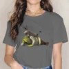 Shrek and Donkey Feminine Clothes Shrek Comedy Film Oversized T shirt Goth Vintage Female Blusas.jpg 640x640 3 - Shrek Shop